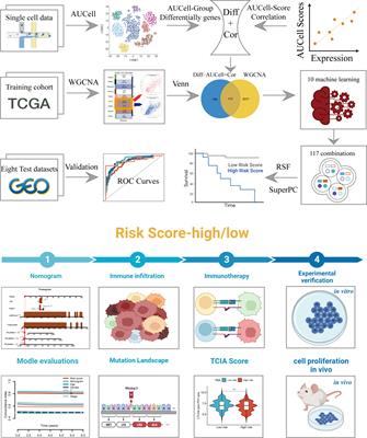 Integrating multiple machine learning methods to construct glutamine metabolism-related signatures in lung adenocarcinoma